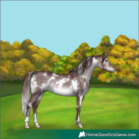 Horse Color:Platinum White Spotted Chocolate Brown Dun 