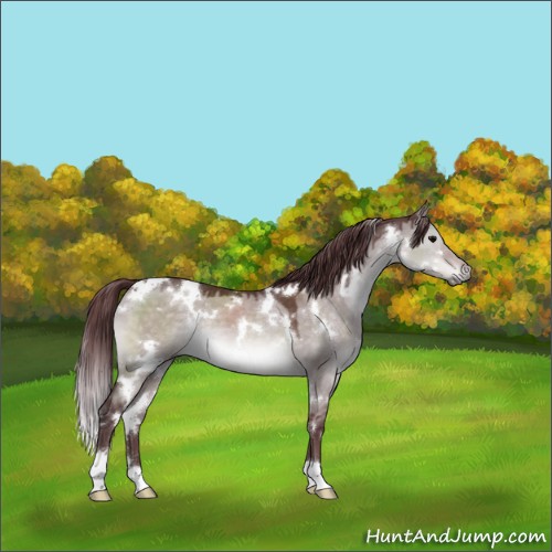 Horse Color:Platinum White Spotted Chocolate Brown Dun 