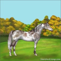 Horse Color:Platinum White Spotted Chocolate Brown Dun 