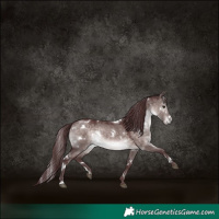 Horse Color:Platinum White Spotted Chocolate Brown Dun 