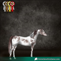 Horse Color:Platinum White Spotted Chocolate Brown Dun 
