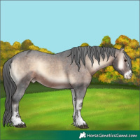 Horse Color:Brown Onyx Sabino Varnish