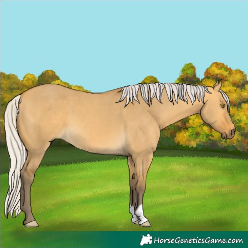 Horse Color:Silver Buckskin Dun 