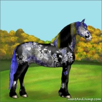 Horse Color:Watercolor Blue Onyx Ice Sabino Splash Tobiano Brindle