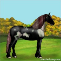 Horse Color:Void Painted Watercolor Silver Grullo Chinchilla Splash Tobiano 