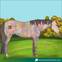 Horse Color:Nacre Amber Champagne