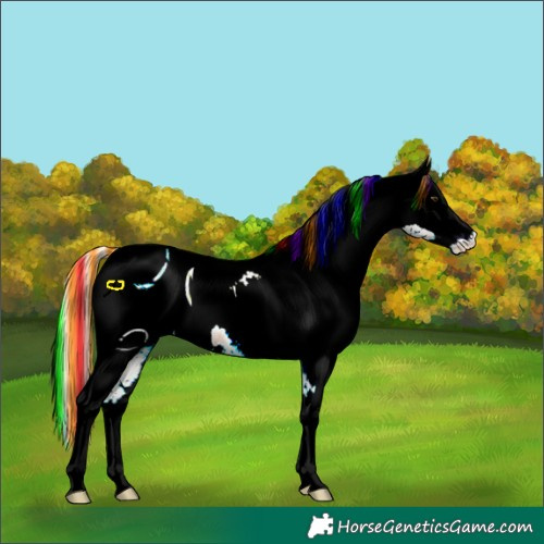 Horse Color:ERROR: UNKNOWN ANOMALY