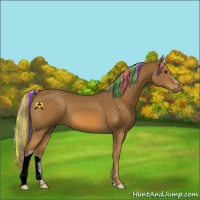 Horse Color:Painted Chocolate Palomino 