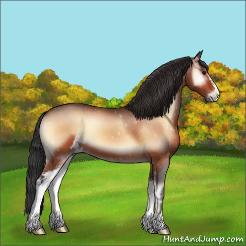 Horse Color:Brown Onyx Sabino 