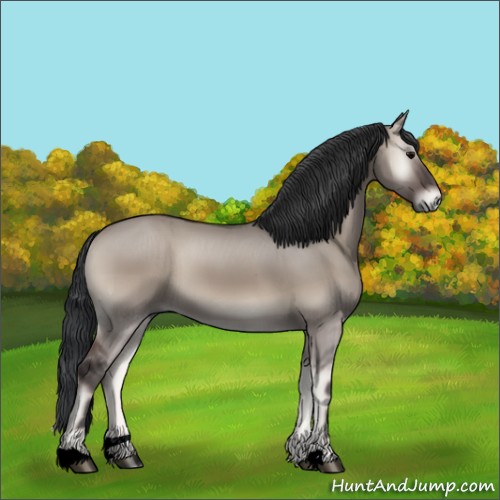 Horse Color:Grullo Onyx Sabino 
