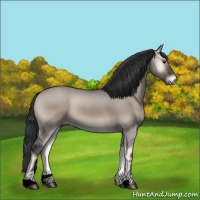 Horse Color:Grullo Onyx Sabino