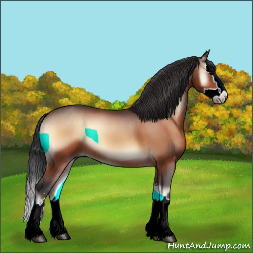 Horse Color:Brown Onyx Sabino Splash