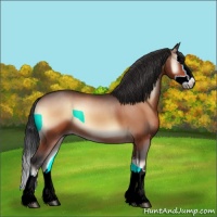 Horse Color:Brown Onyx Sabino Splash 