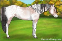 Horse Color:Platinum Bay Onyx Tobiano Blanket 
