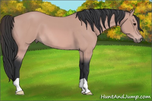 Horse Color:Platinum Bay 