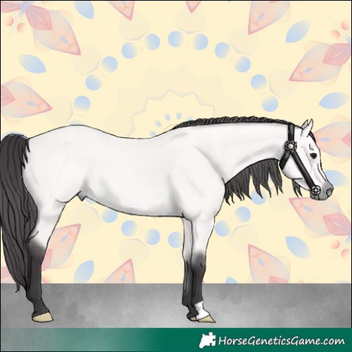 Horse Color:Platinum Buckskin