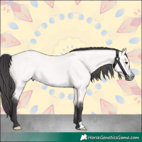Horse Color:Platinum Buckskin