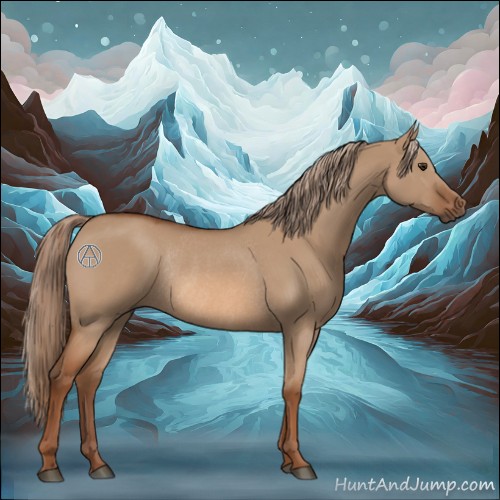 Horse Color:Red Dun Rabicano