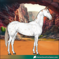 Horse Color:White Spotted Chocolate Black Pearl Sabino 