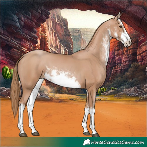 Horse Color:White Spotted Chocolate Black Pearl 