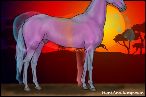 Horse Color:Watercolor Bay 