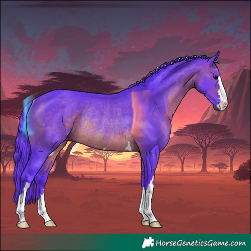 Horse Color:Watercolor Brown Rabicano 