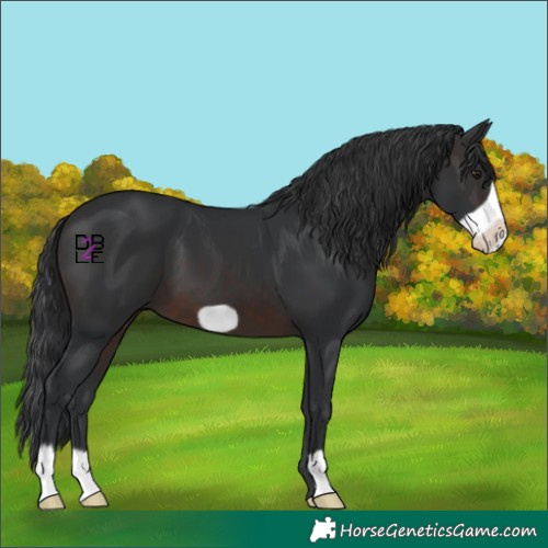 Horse Color:Brown Frame