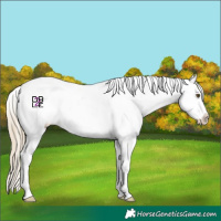 Horse Color:White Spotted Chocolate Palomino Roan Dun Mushroom Varnish 