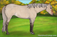 Horse Color:Silver Bay Roan Dun 