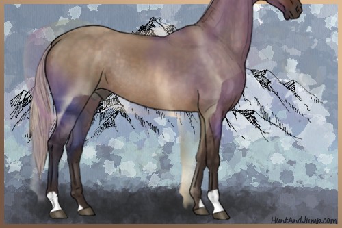 Horse Color:Silver Brown Dun Rabicano 