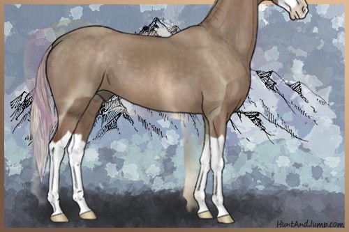 Horse Color:Silver Grullo Splash 