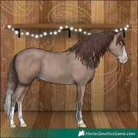 Horse Color:Classic Champagne Splash