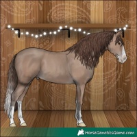 Horse Color:Classic Champagne Splash