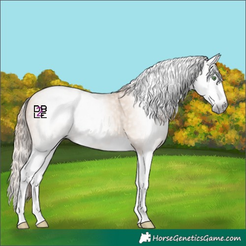 Horse Color:Gray Classic Champagne Pearl Splash