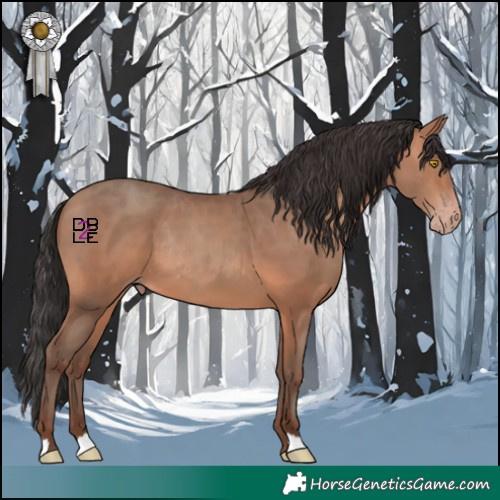 Horse Color:Sable Champagne Rabicano 