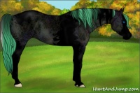 Horse Color:Void Watercolor White Spotted Midnight Buckskin Ice Onyx Splash Tobiano 