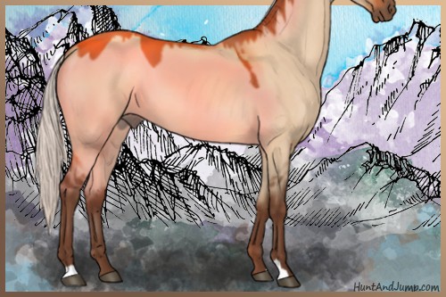 Horse Color:Silver Bay Dun 