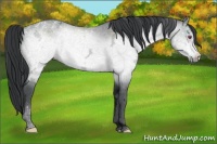 Horse Color:Brown Chinchilla Ice
