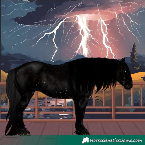 Horse Color:Void Brown Sabino Splash