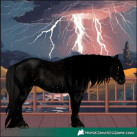 Horse Color:Void Brown Sabino Splash