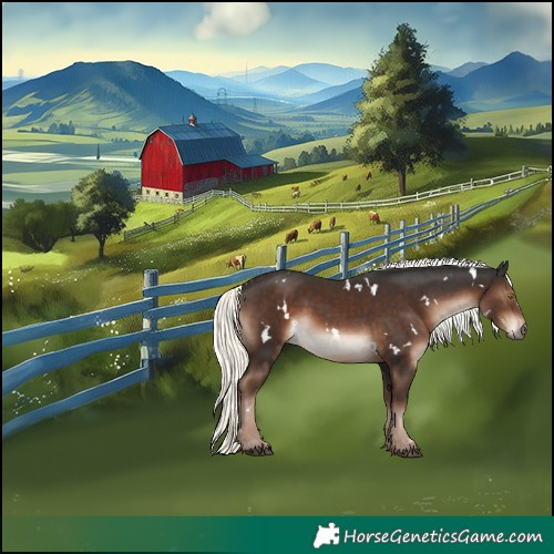 Horse Color:White Spotted Liver Chestnut Mushroom