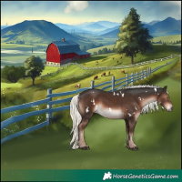 Horse Color:White Spotted Liver Chestnut Mushroom