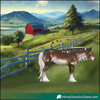 Horse Color:White Spotted Liver Chestnut Mushroom