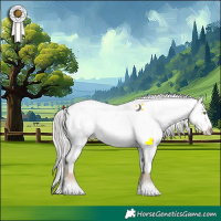 Horse Color:Liver Chestnut Mushroom Sabino Appaloosa