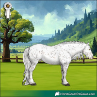 Horse Color:Liver Chestnut Mushroom Sabino Snowcap 