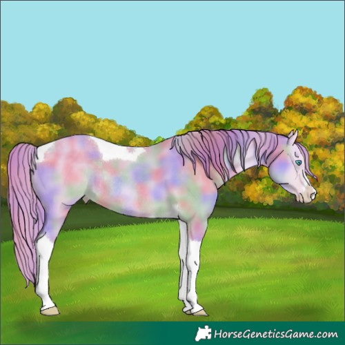 Horse Color:Nacre Watercolor White Spotted Perlino Dun Tobiano Rabicano