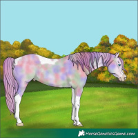 Horse Color:Nacre Watercolor White Spotted Perlino Dun Tobiano Rabicano 