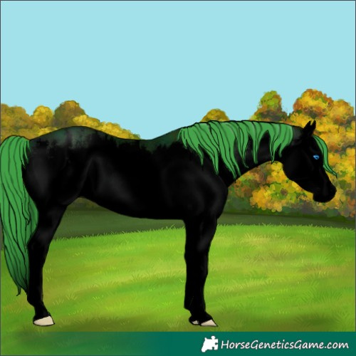 Horse Color:Void Watercolor White Spotted Midnight Brown Splash 