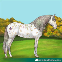 Horse Color:Nacre Amber Cream Champagne Near Leopard 