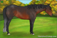 Horse Color:Brown 